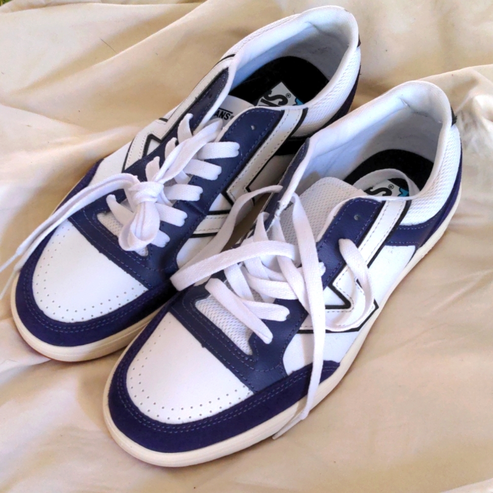 Vans Serio collection, W11/M9.5 skate shoe, gently used.